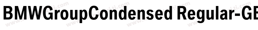 BMWGroupCondensed Regular-GBpc-EUC-字体转换